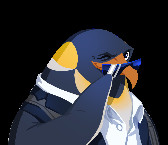 Play Survival with all Characters