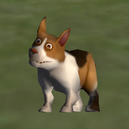 Yes
