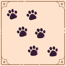 First steps to find Coco