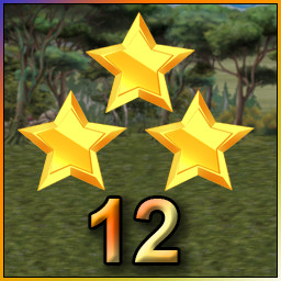 3 Stars on Level 12