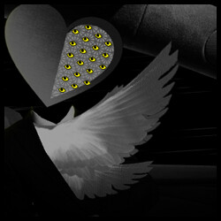 Spectacular Machines