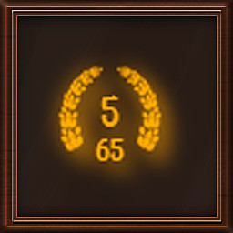 Completed 5 stages with 65 pieces