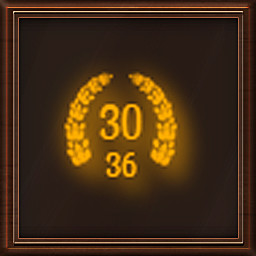 Completed 30 stages with 36 pieces