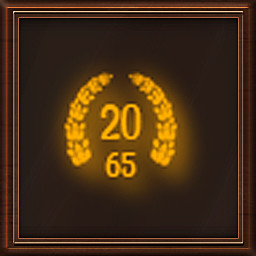 Completed 20 stages with 65 pieces