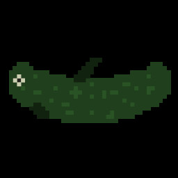 Funniest Fish I've Ever Seen