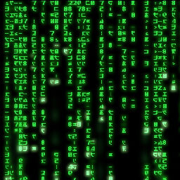 ENTERED THE SERVER ROOM