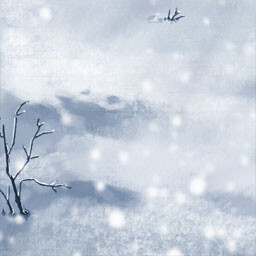 positive and negative