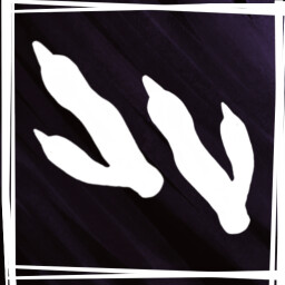 Black is my favorite color!