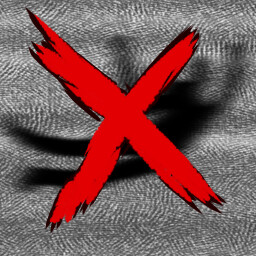 Get Thrown By The Rake