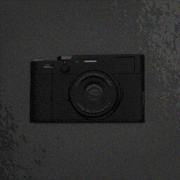 Caught by the camera