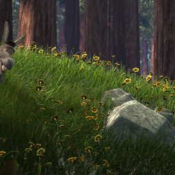 I Liked That Boulder