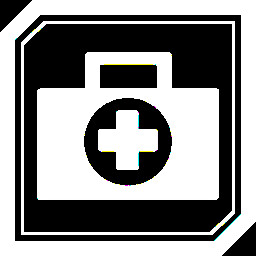 Severe Trauma Patient