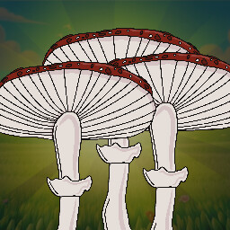 Magic Mushroom Trip
