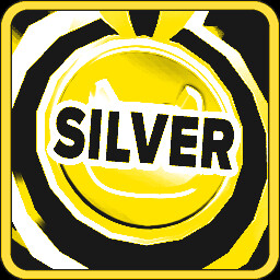Silver Medal