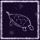 Like Little Starry Skies