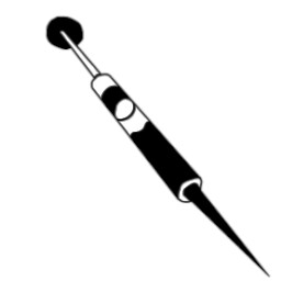 The digital generation