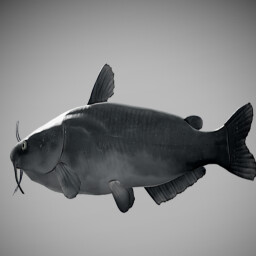 Reel in a Record-Breaker