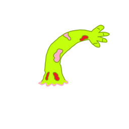 What's in your head?