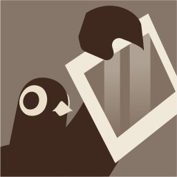 Look at this photograph