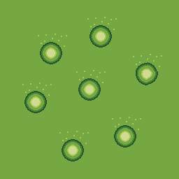 Champion of the Spirits