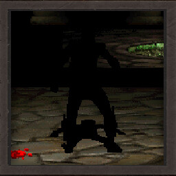 The Ninja Who Wasn't There