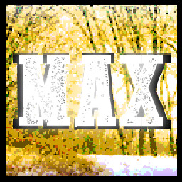 Max Score (Highland Woods)