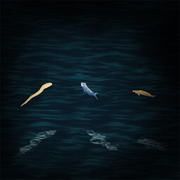 The Whereabouts of the Three Fish