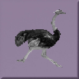 Speed Climber Silver