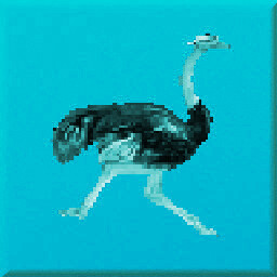 Speed Climber Diamond