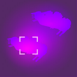 Interceptor interception