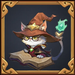 猫界传奇的凝视