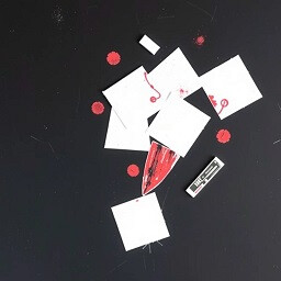 The Reflection of Truth