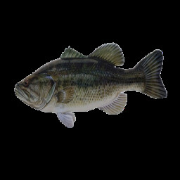 Podrías saber lo que estás haciendo