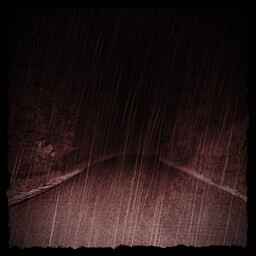 The Predator’s Forest