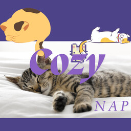 Cozy Nap