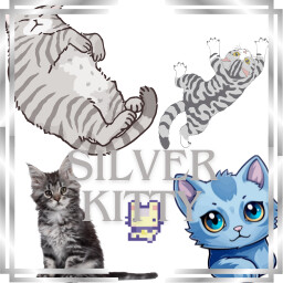 Silver Kitty