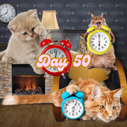 Day 50