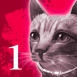 Hide & Seek Beginner