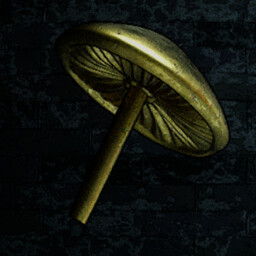 We´re going up, up, up!