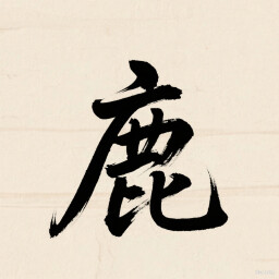 Negative Nineteen Lord