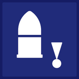 The Miracle of Flight