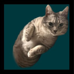 The owner of the room