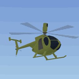 Pilot license obtained