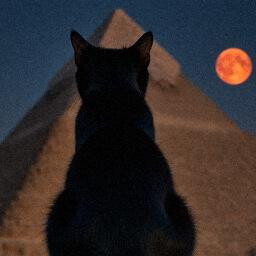 You will be reborn as a cat