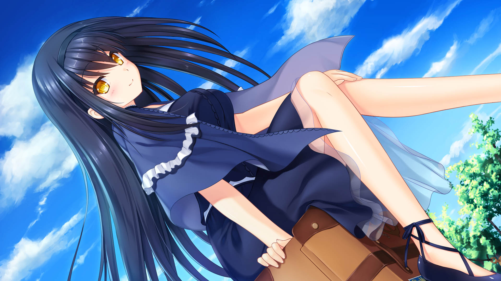 TV Anime 